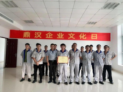 鼎汉企业文化日系列活动 凝聚力量，绽放精彩